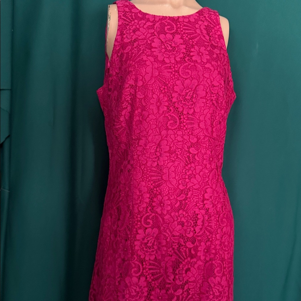Elegant Pink Lace Dress